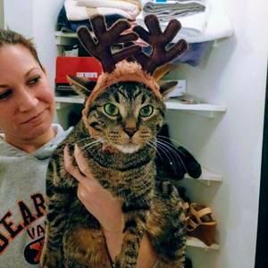 Meet your Posher, Kathy